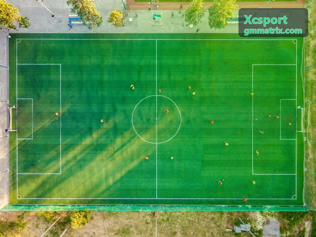 Xcsport 实时监测