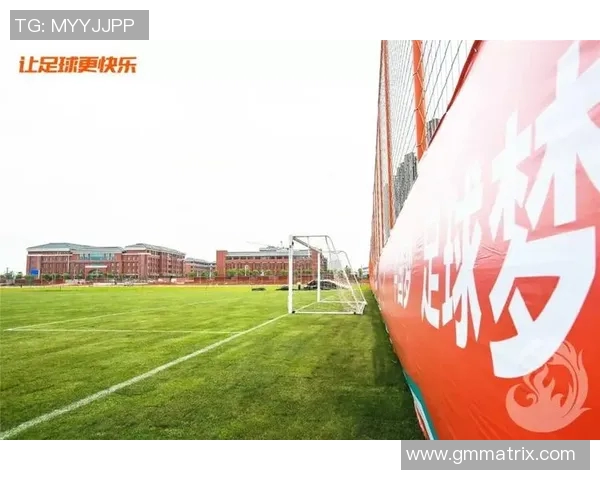 探索天津足球俱乐部的多样性与发展历程及其在中国足球中的地位 探索天津足球俱乐部的多样性与发展历程及其在中国足球中的地位