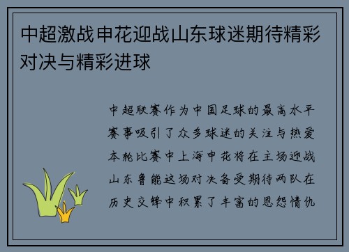 中超激战申花迎战山东球迷期待精彩对决与精彩进球