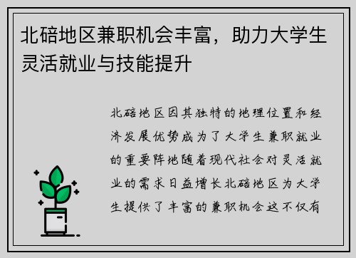 北碚地区兼职机会丰富，助力大学生灵活就业与技能提升