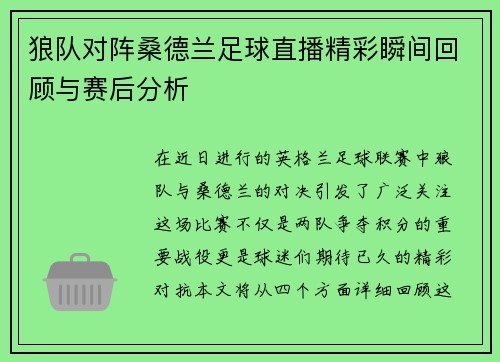 狼队对阵桑德兰足球直播精彩瞬间回顾与赛后分析