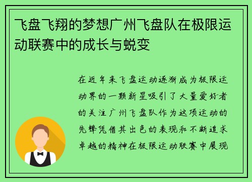 飞盘飞翔的梦想广州飞盘队在极限运动联赛中的成长与蜕变