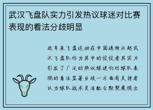 武汉飞盘队实力引发热议球迷对比赛表现的看法分歧明显