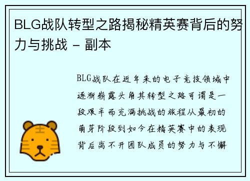 BLG战队转型之路揭秘精英赛背后的努力与挑战 - 副本