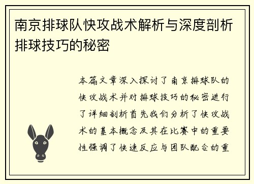 南京排球队快攻战术解析与深度剖析排球技巧的秘密