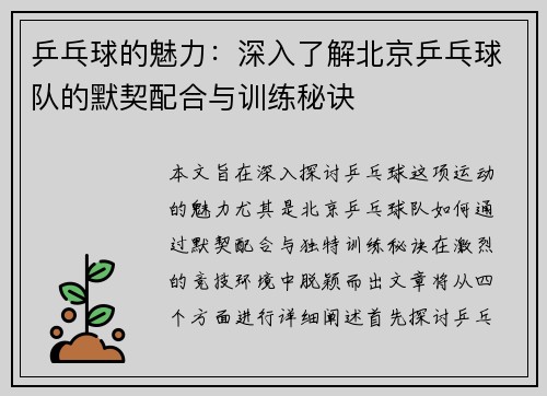 乒乓球的魅力：深入了解北京乒乓球队的默契配合与训练秘诀
